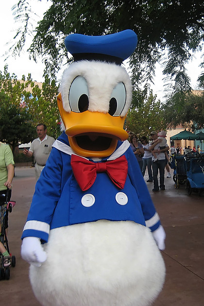 p964963692-4.jpg