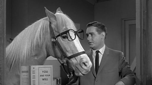 mr.-ed.jpg
