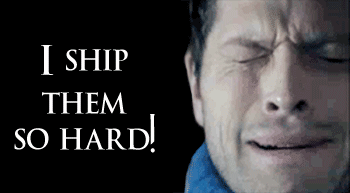 tumblr_lsiq0m7U061qhzlt3.gif
