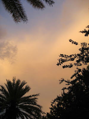 wdw-3138.jpg