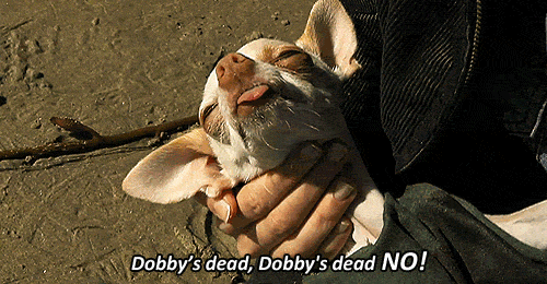tumblr_lnqnnkvKEk1qeu3rso1_500.gif