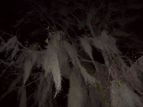3010764949_1aec9fe345.jpg