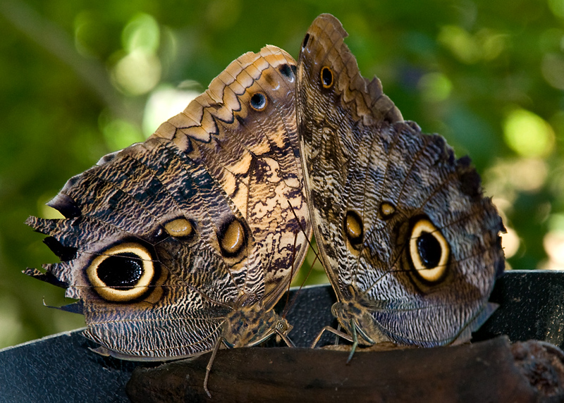 501880497_asJPk-X3-1.jpg