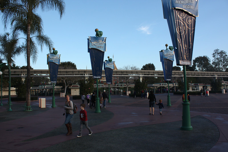 IMG9127-L.jpg