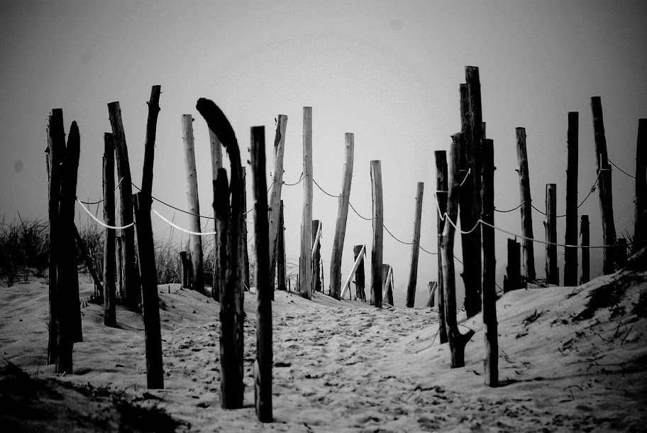 DSC_0399.JPG
