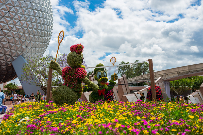 DSC_2136-L.jpg