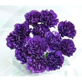 41VXB5ZVJ1L._SL500_AA280_.jpg