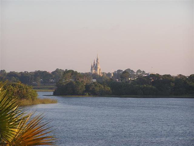 P1010004.JPG