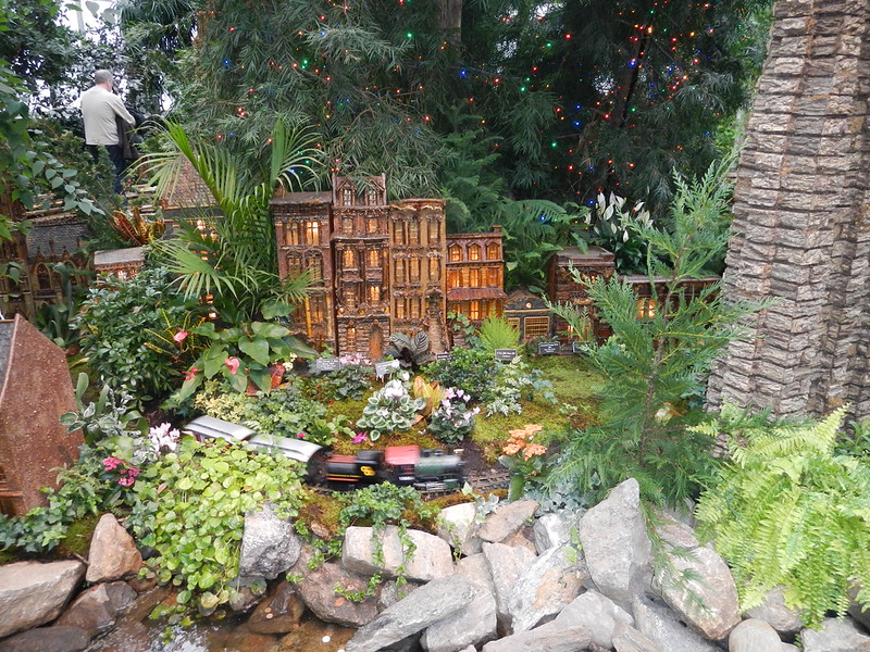 DSCN9581-L.jpg