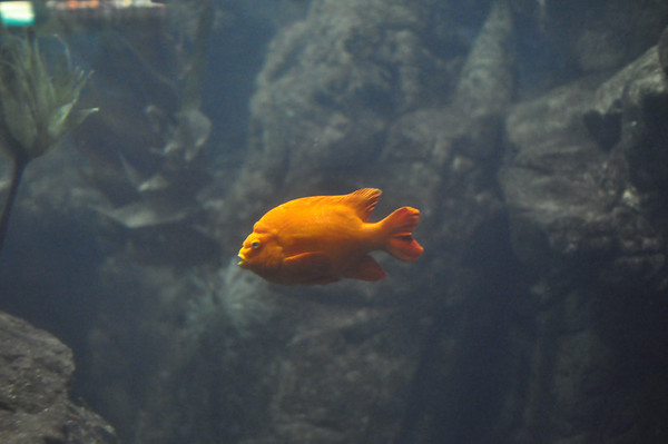 588697676_EnLsm-M.jpg