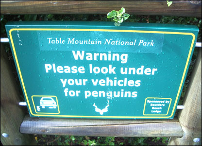_44118825_penguins_sign.jpg