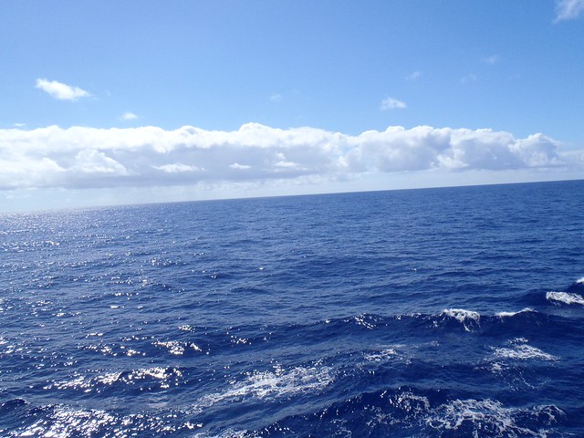 8155992126_efbe54c9d9_z.jpg