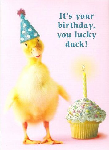 ce74b4b5b9df120f422c658a2f9f6ec7--duck-duck-birthday-wishes.jpg