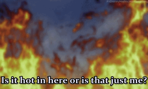 giphy.gif