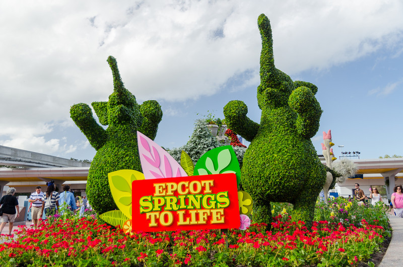 DSC1420-L.jpg