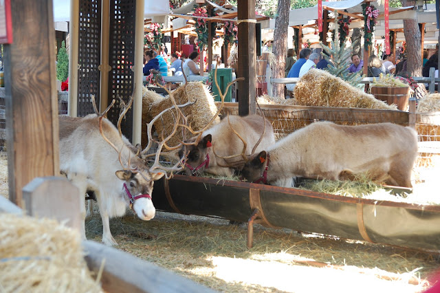 DSC_0095.JPG