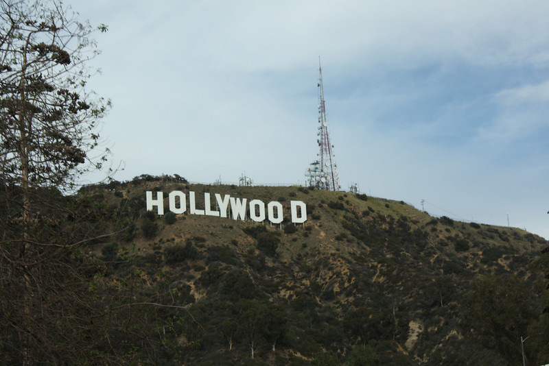 IMG1001-L.jpg