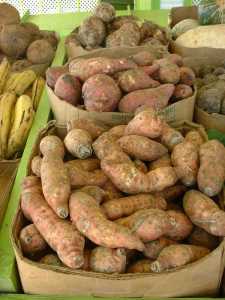 sweetpotatoes-sm.jpg