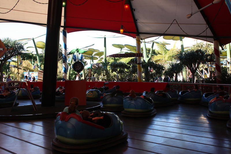 IMG0222-L.jpg