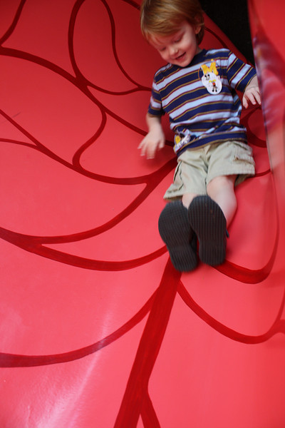 1213205685_EzwfZ-L.jpg