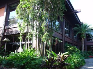DSC01645.jpg