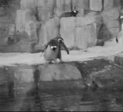 penguin_gifs_20.gif
