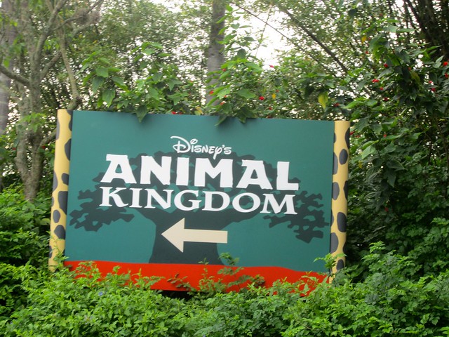 19267929280_42e39d4848_z.jpg