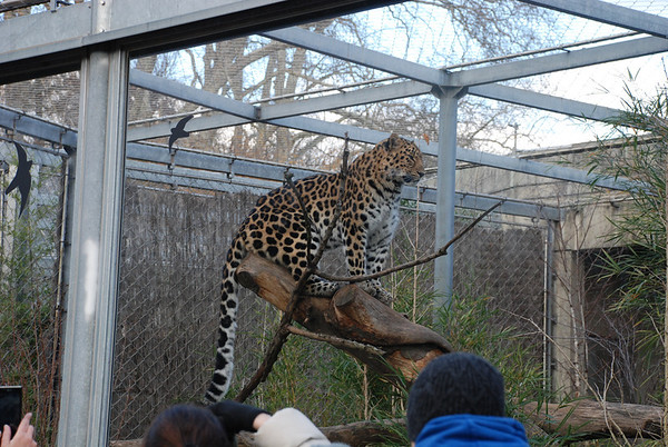DSC_8295--M.jpg
