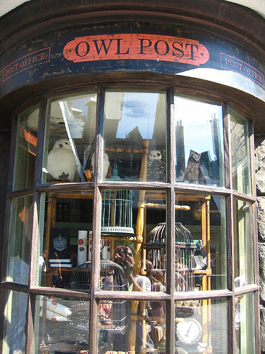 Owl-post.jpg