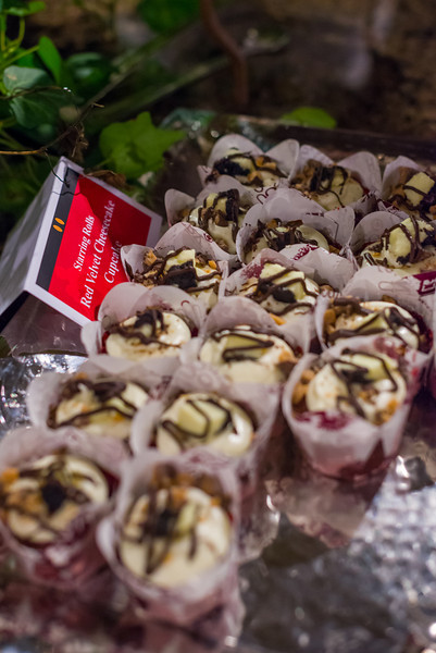 DSC_0503-L.jpg