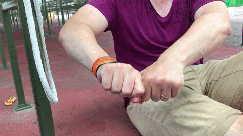 giphy.gif