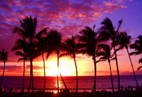 Hawaii%20475%20sunset.jpg