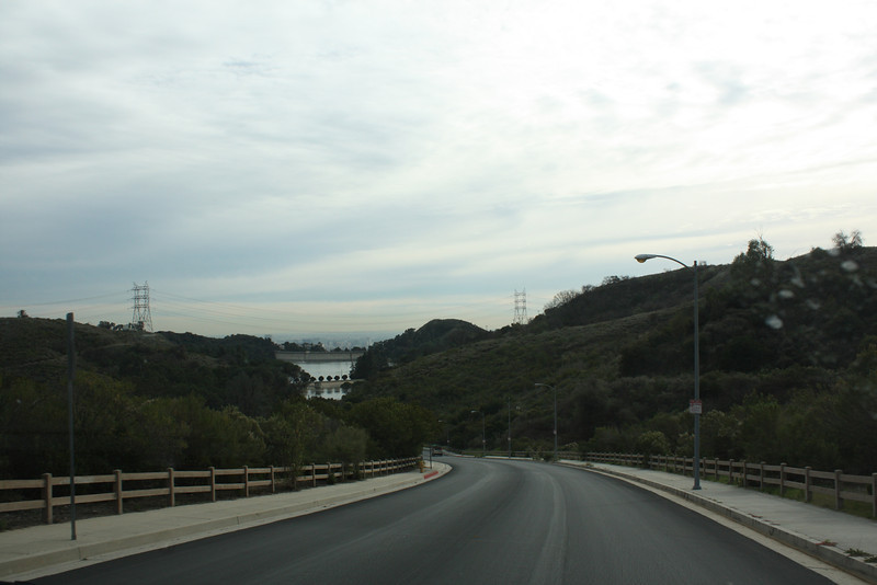 IMG0972-L.jpg