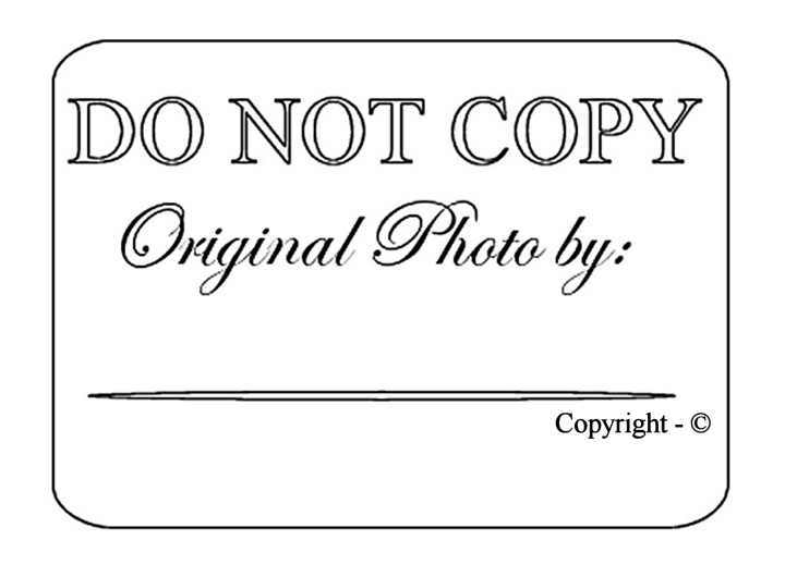 stamp2t.jpg