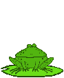 Frog_jumps_4.gif