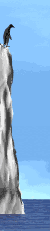 Animated-DivingPenguins.gif
