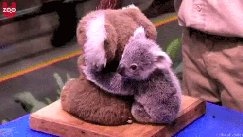 tumblr_mn2bbrMTRF1r9rmffo1_500.gif