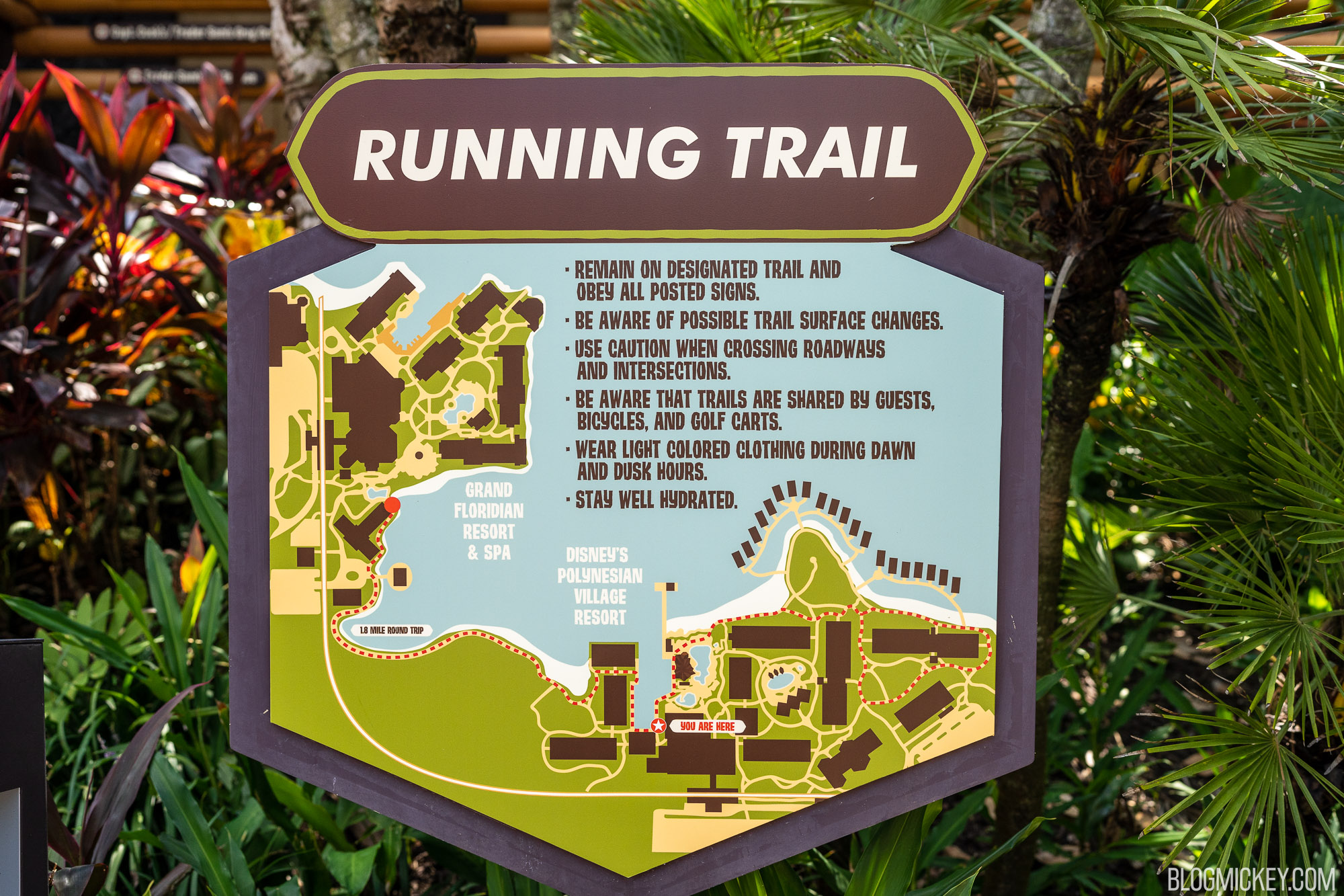 luau-cove-removed-signage-9.jpg
