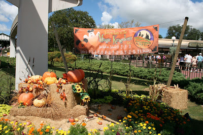Disney09200712.JPG