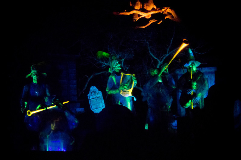DSC_3162-L.jpg