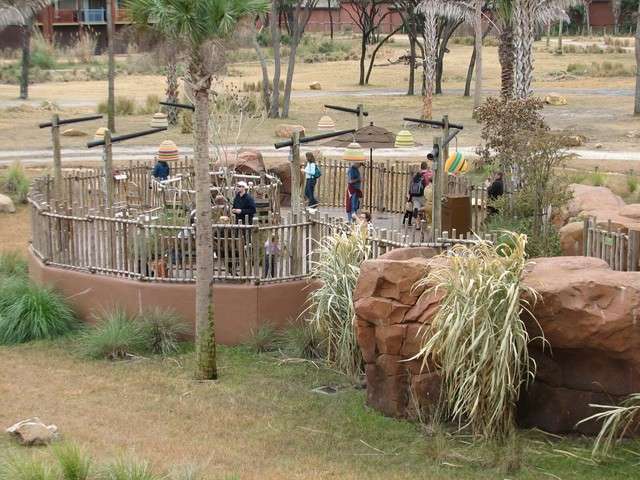 animalkingdomlodge100.jpg