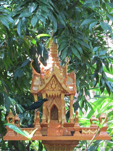 IMG0177-L.jpg