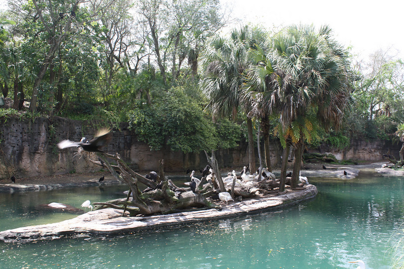 1210968929_tLZBr-L.jpg