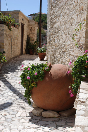 DSC_1219--M.jpg