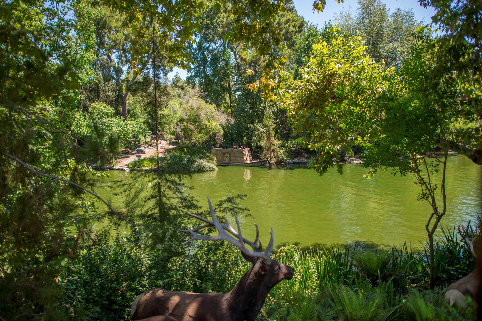 DSC_2057%20(Large).jpg