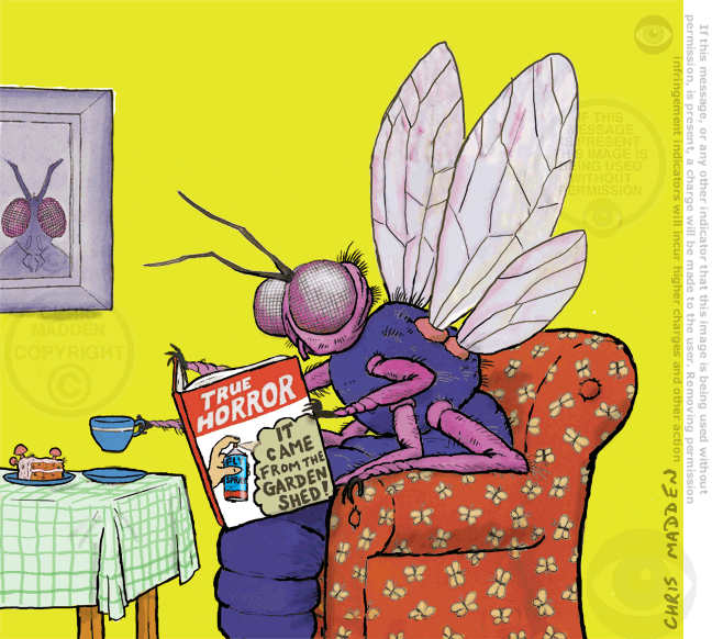 fly-in-armchair-true-horror-cartoon-chris-madden.gif