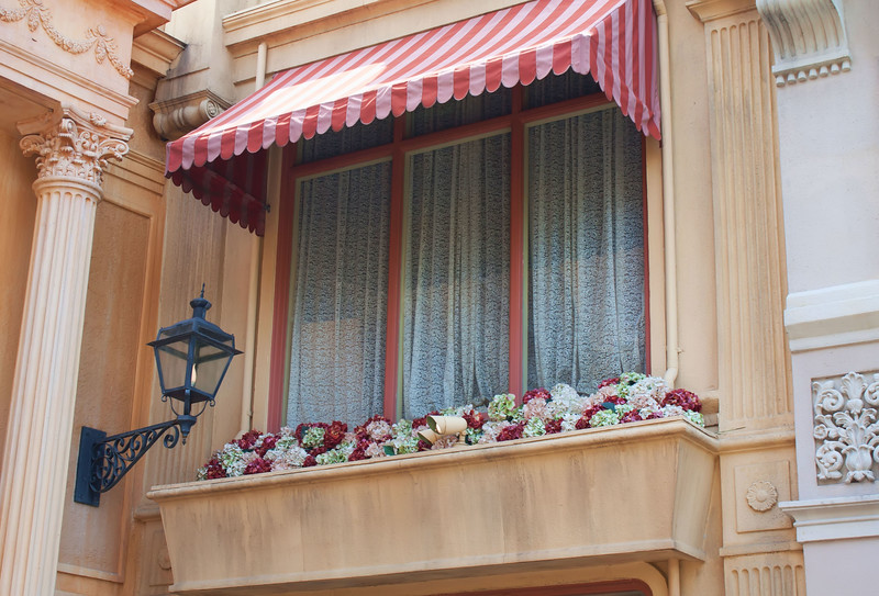 8582ed1-L.jpg