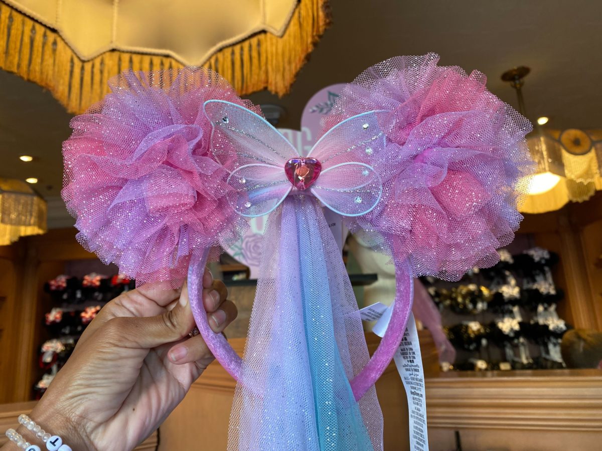 butterfly-minnie-ears-3-1200x900.jpg