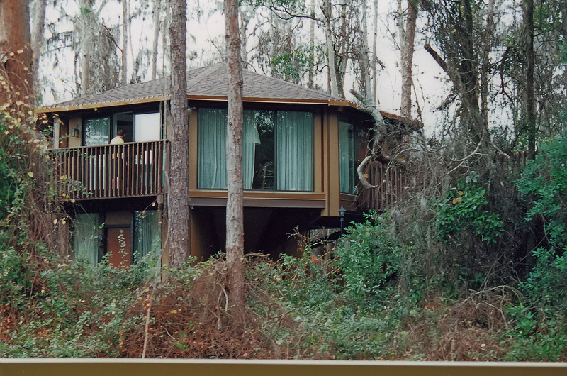Treehouse-2001ed-copy-L.jpg