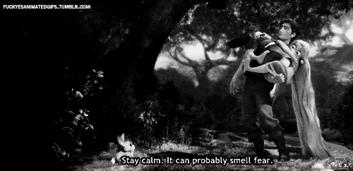 tumblr_lngfuvFfkr1qi4ns0o1_500.gif